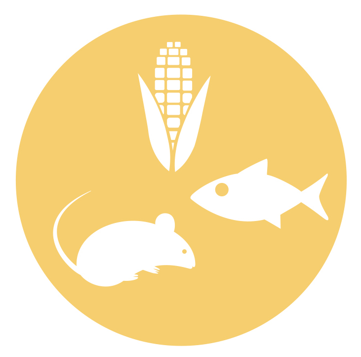 Image of a yellow circle that contains images of a corn, fish, and a mouse.