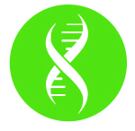 Image of a DNA Helix inside a green circle.