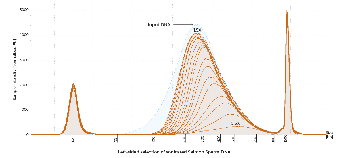 Graph showing left-sided selection of sonicated Salmon Sperm DNA