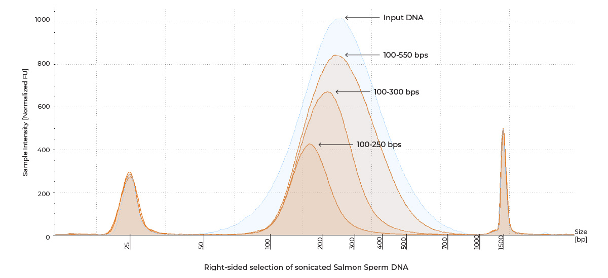 Graph showing right-sided selection of sonicated Salmon Sperm DNA