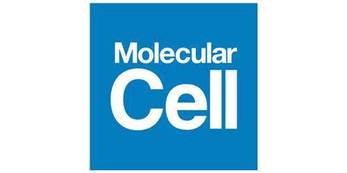 Molecular Cell Logo