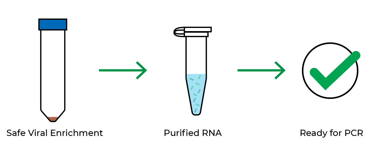 safe viral enrichment with a text tube image as the first step. purified rna with buffer image as second step.  ready for pcr with check mark as the third step.