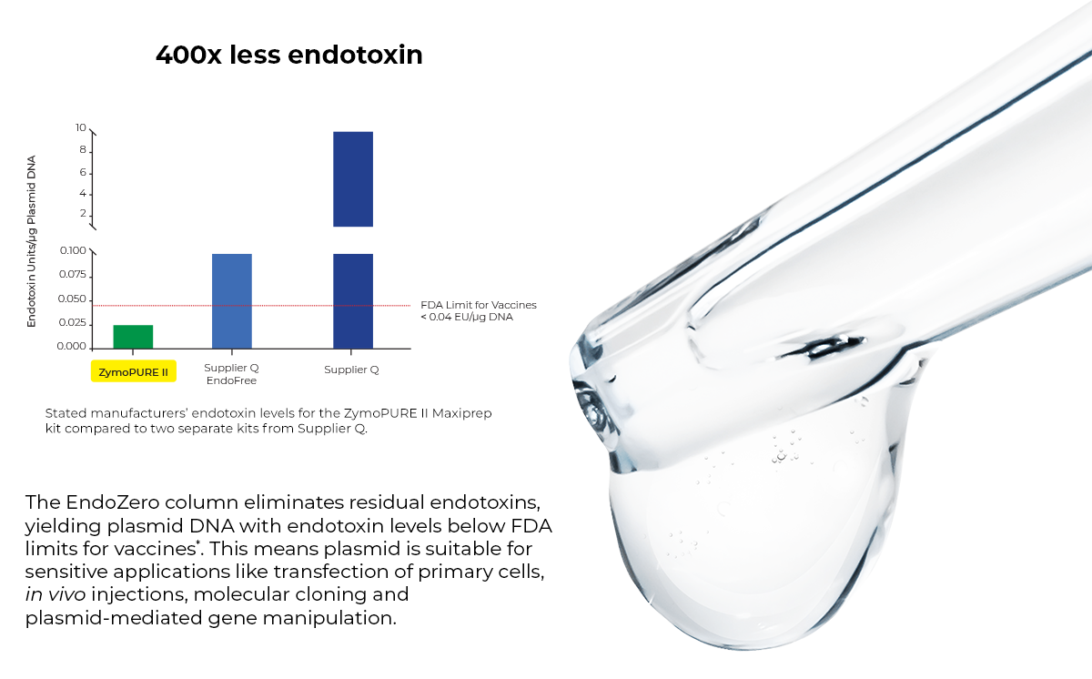 Plasmid purity redefined