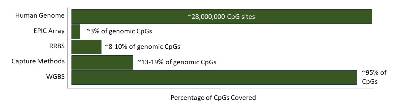 Bar chart showing percentage of CpGs covered