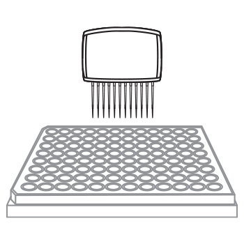 Image of a 96-well cell tray and a multi-channel pipette
