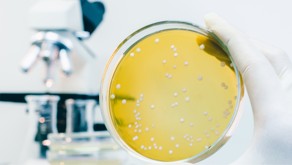 pietri dish
