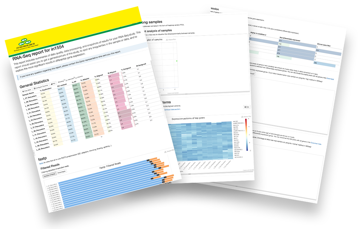 RNA Seq Analysis Services | ZYMO RESEARCH