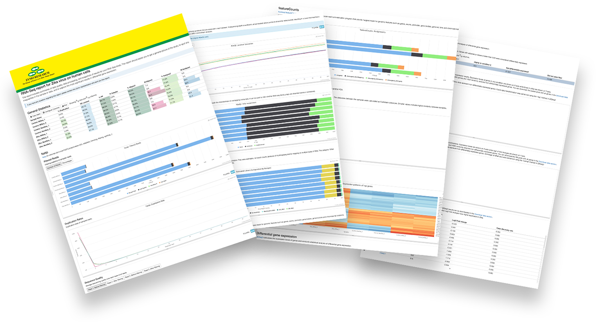 Image showing 4 pages of the total RNA-Seq report