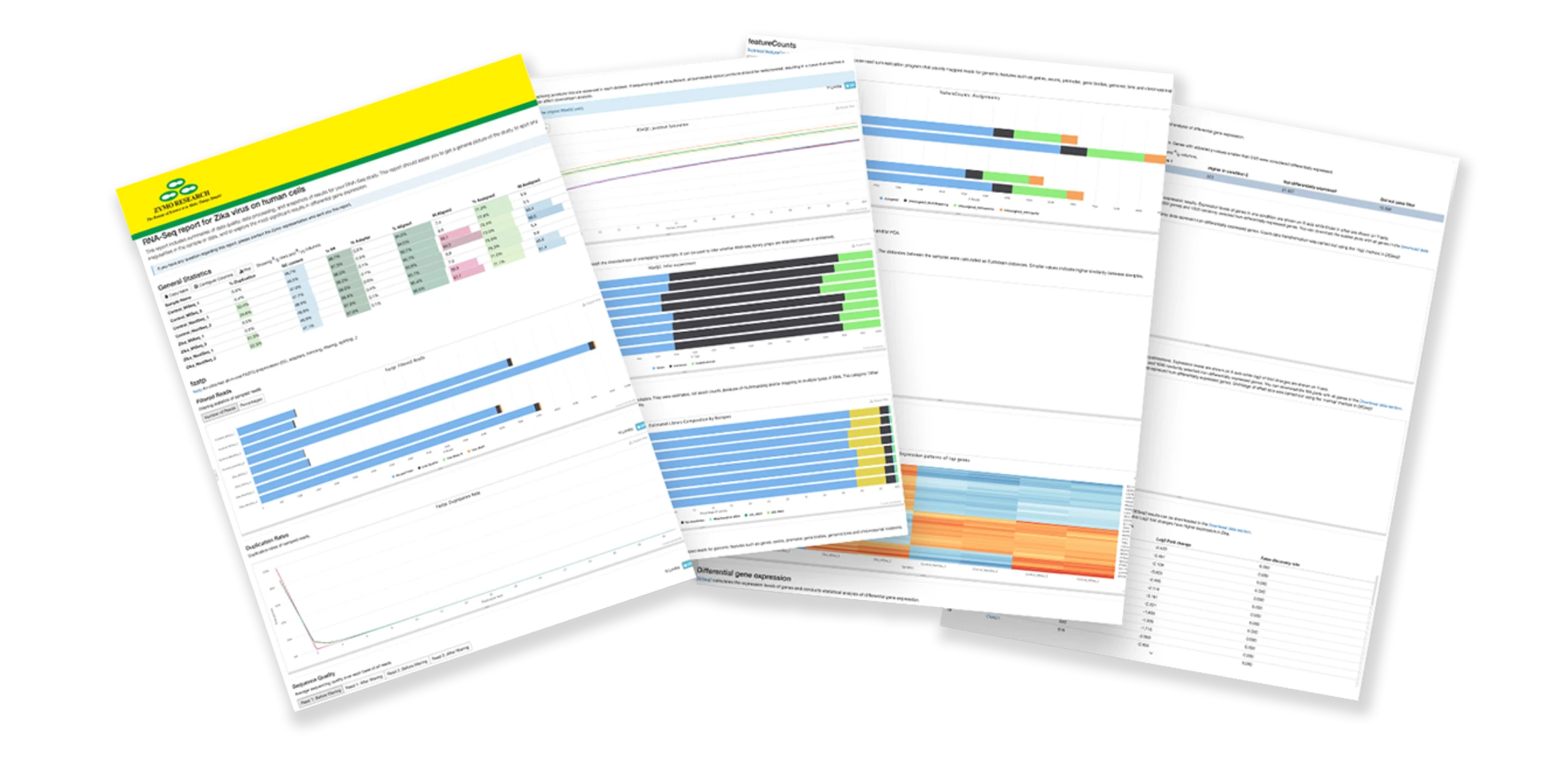 Image showing 4 pages of the total RNA-Seq report