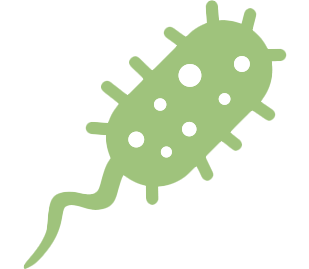 Bacteria icon