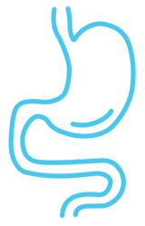 Stomach symbol