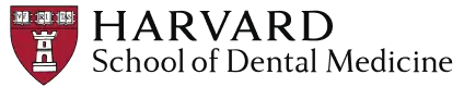 hsdm Logo