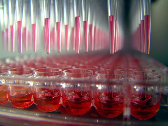 Direct-zol-96 RNA Kits