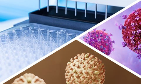 Quick-RNA Viral 96 Kit
