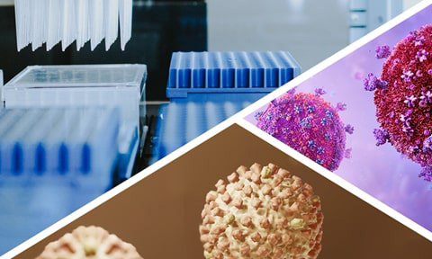 Quick-DNA/RNA Viral MagBead