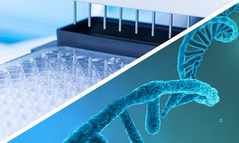 RNA Extraction Kits - Total RNA Purification & Isolation