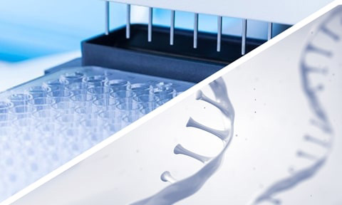 RNA Extraction Kits - Total RNA Purification & Isolation