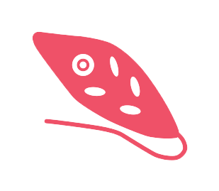 Protist icon