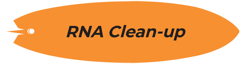 RNA Clean-up surfboard
