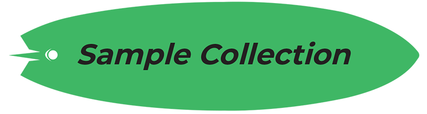Sample Collection surfboard