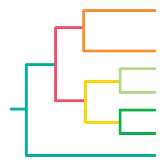 A branching bracket