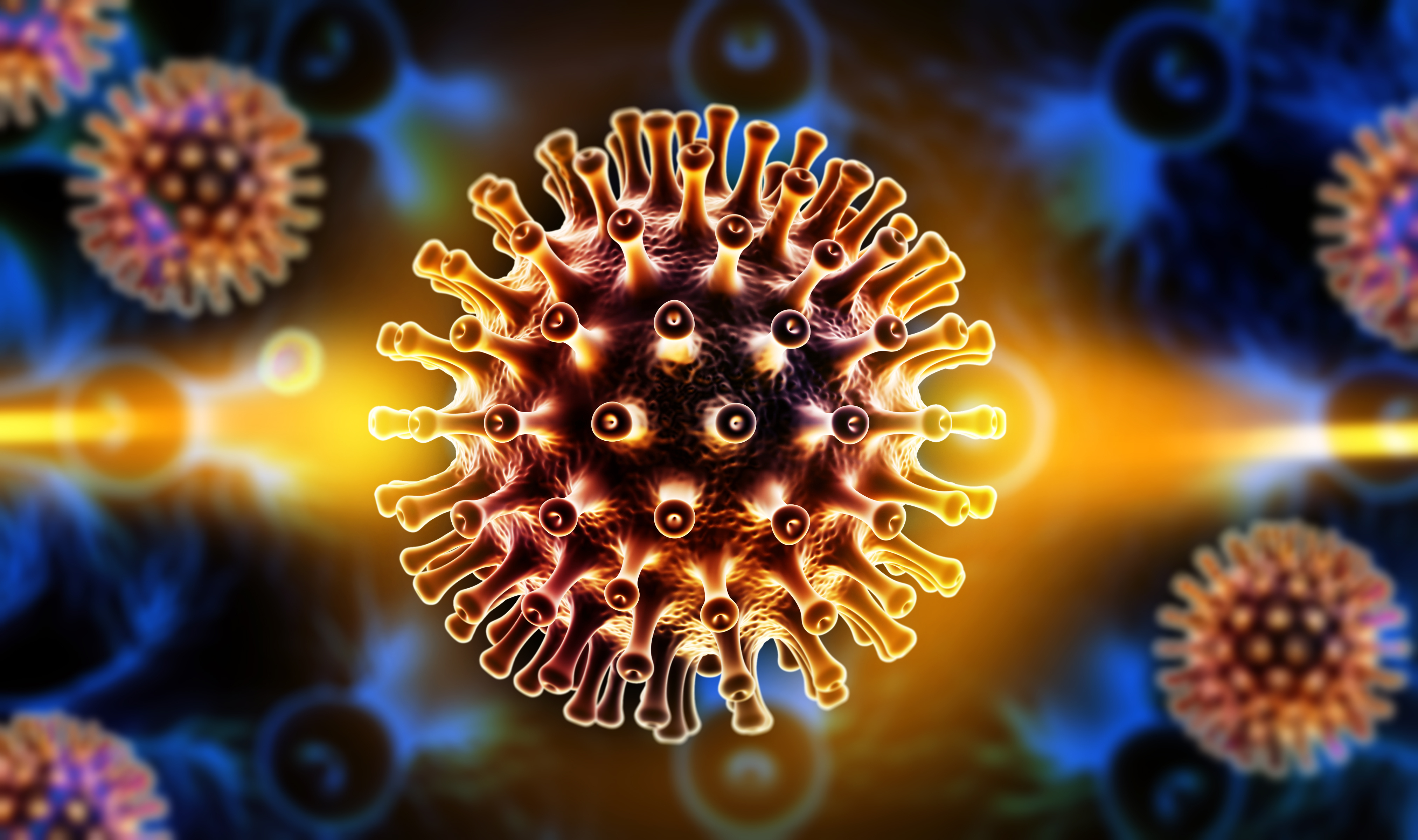 RNA virus attacks the immune system 