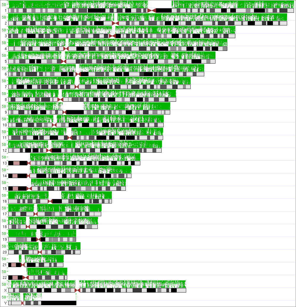 Chart showing the number of CpGs across the genome