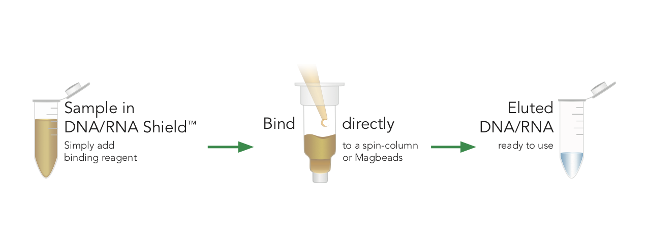 Sample shield workflow