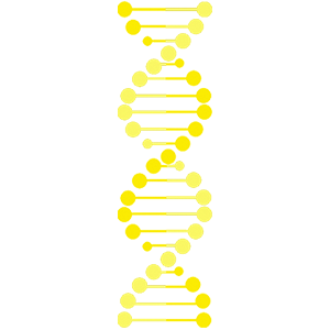 Cartoon yellow dna strand