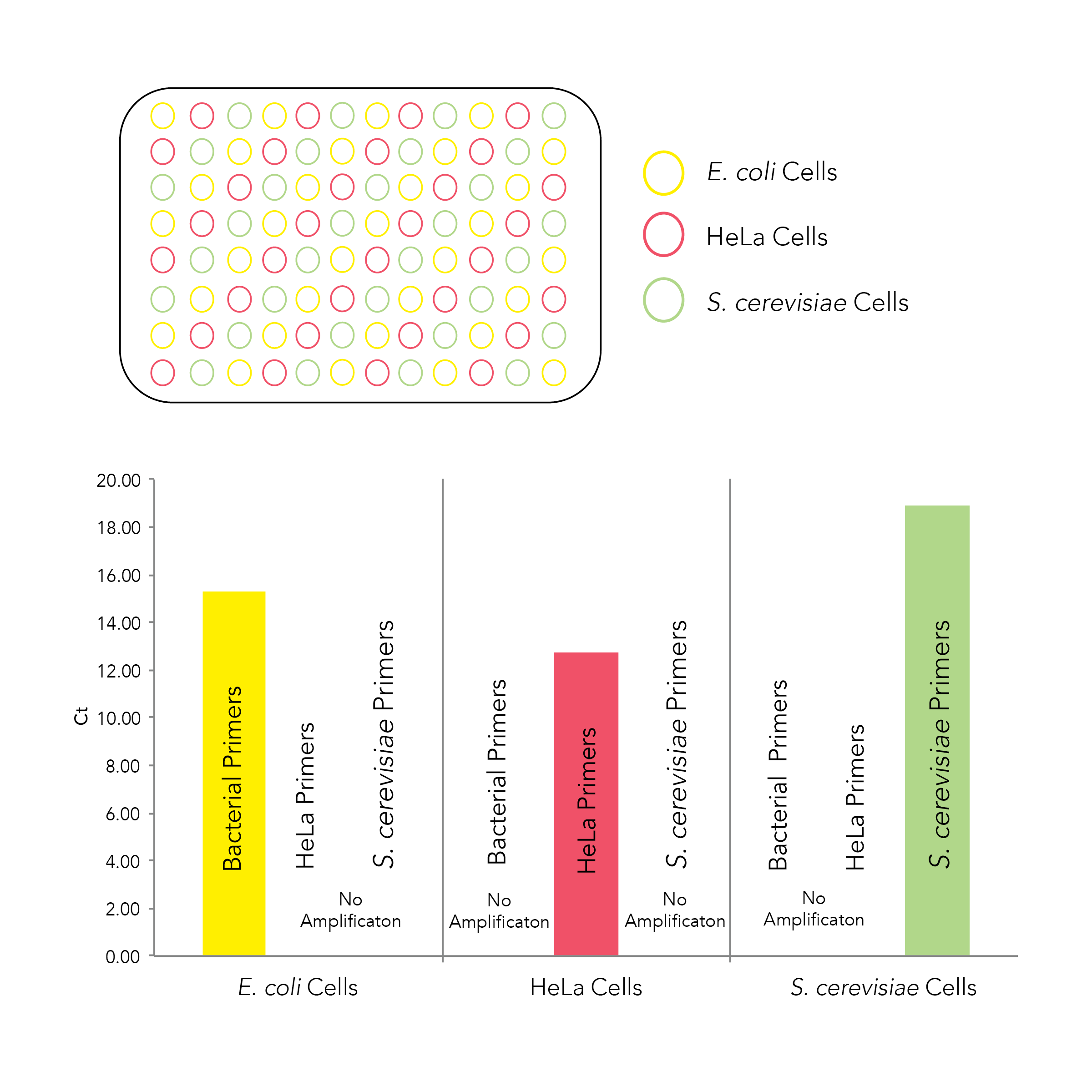 Cross contamination graph