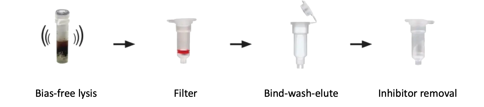 ZymoBIOMICS kit workflow