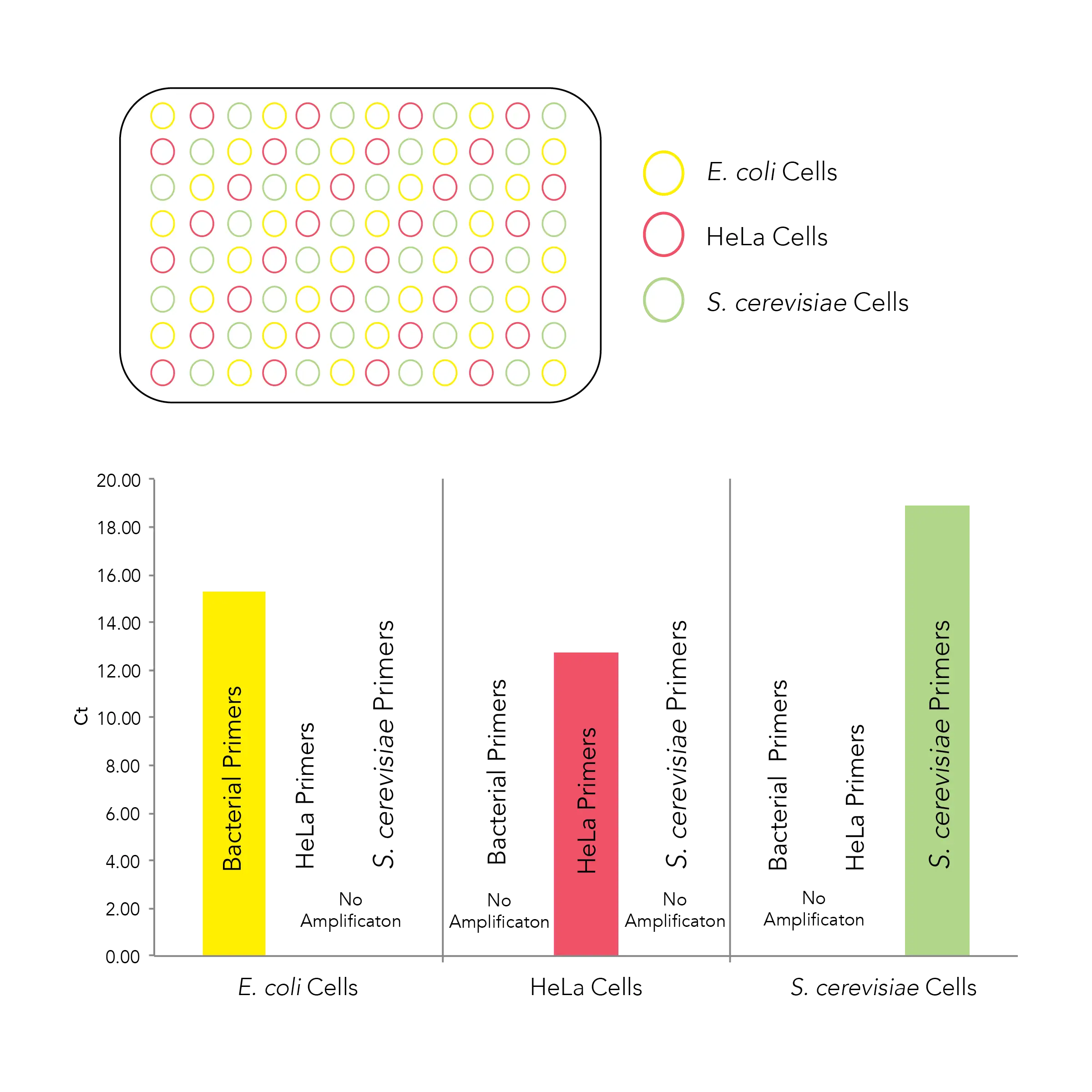 Cross contamination graph