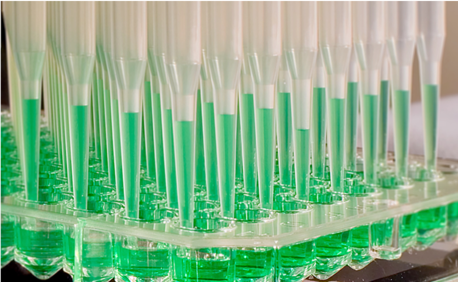 Pipetting green liquid